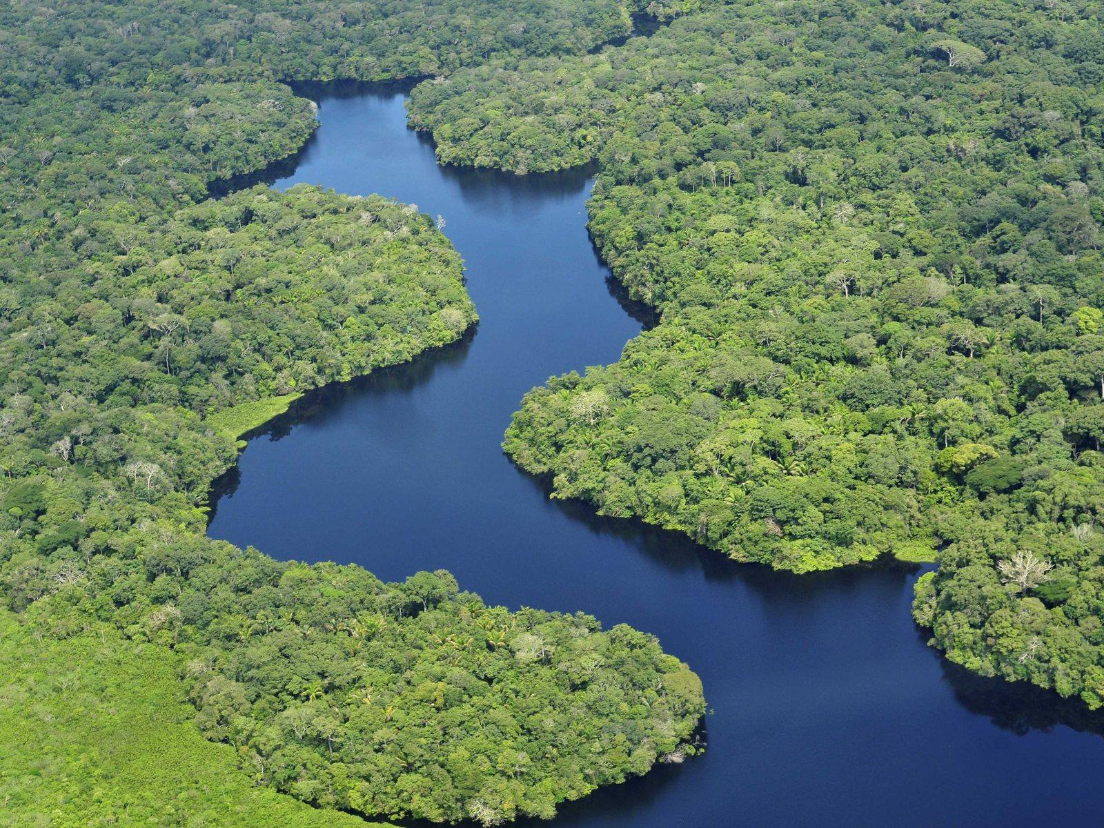Rio atravessando a mata, visto de cima